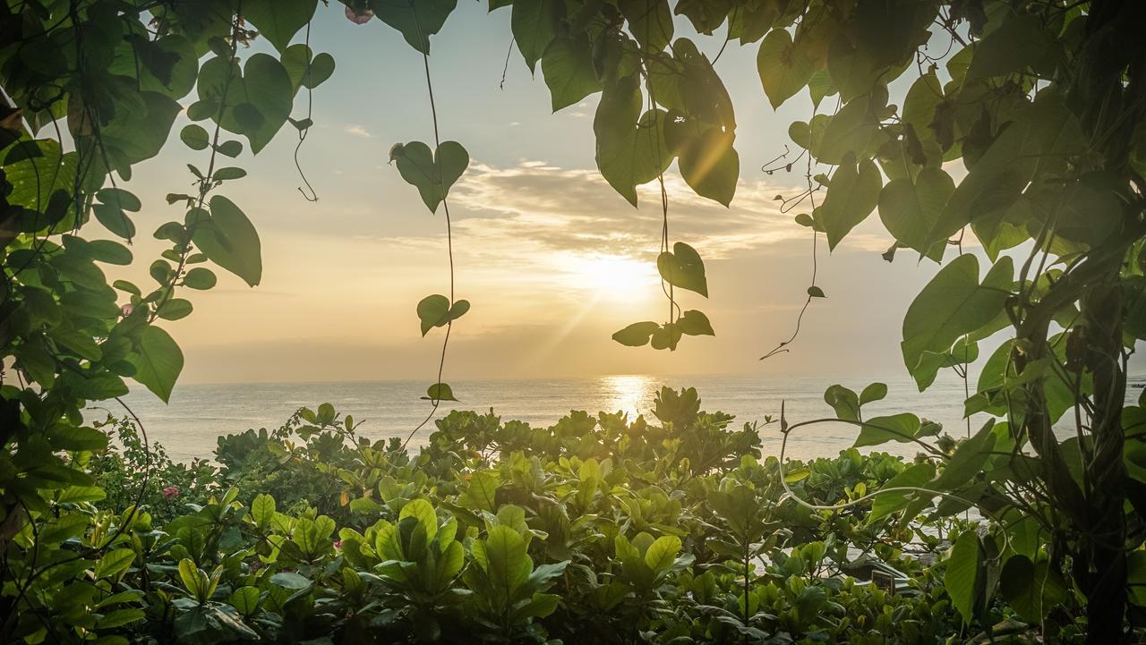 Bay Vista Hotel Arugam Bay Ruang foto